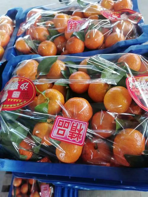 團購風口下，我只想守住舌尖上的底線
